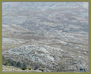 becadas-211.bmp