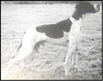 pointer-001.bmp