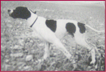 pointer-003.bmp