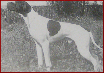 pointer-004.bmp