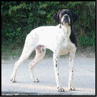 pointer-23.bmp