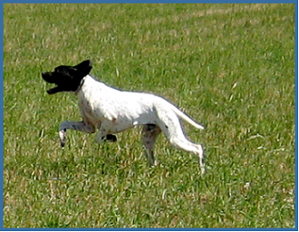 pointer-49.bmp