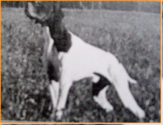 pointer-84.bmp