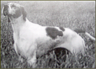 pointer-86.bmp