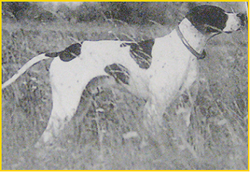 pointer0002.bmp
