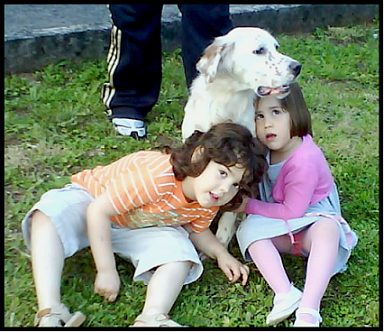 setter-4.bmp