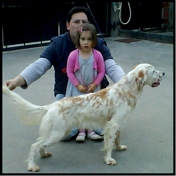 setter-5.bmp